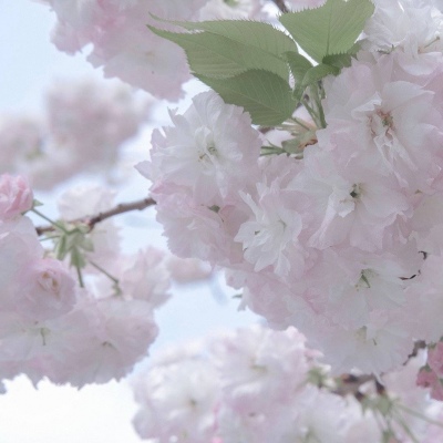 Furry插画元素技巧兽圈社群